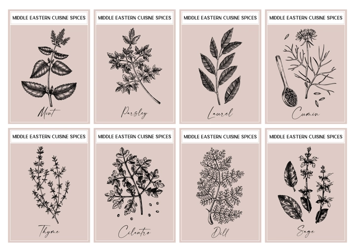 Middle Eastern spice labels set. Basil, mint, rosemary, parsley, sage, bay leaf, fennel  sketches. Herbs and spices hand-drawn vectot illustration. Vintage print design. NOT AI generated
